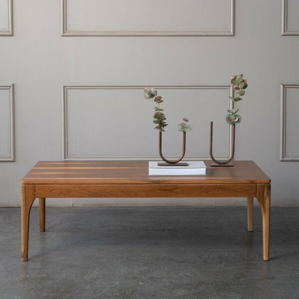 MESA RATONA VALENCIA PETIRIBI