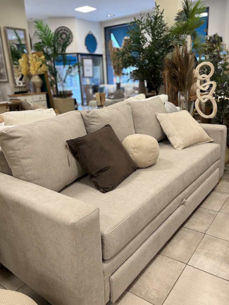 DIVAN CAMA 2.20 CON COLCHON 2 CUERPOS