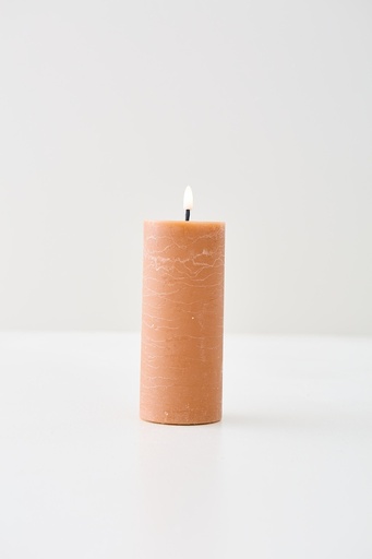 [2069] LED VELON BROWN L