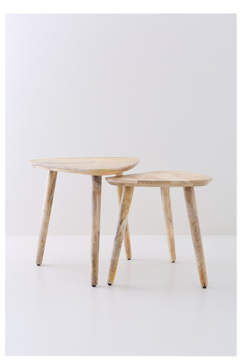 [2695] MESA CAMELIA SET x2