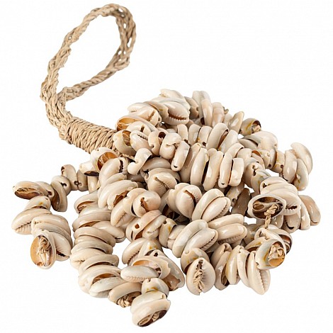 [2980] RISTRA COWRIE 25 CM