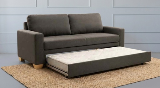 [1216] DIVAN CAMA 2.20 CON COLCHON 2 CUERPOS